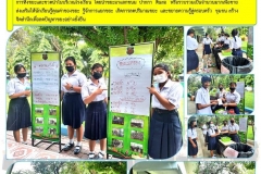 ฉ37-ปี65-ขยะแลกของ